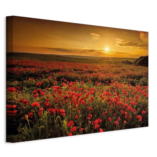 murando - Quadro Acustico Papavero Campo 1 pezzo schiuma acustica Quadri Moderni Soggiorno - Stampa su Tela - Pannelli Fonoassorbenti Decorativi - Fonoassorbente - Protegge da Rumori