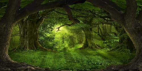 Yeele 20x10ft Green Jungle Forest Backdrop Spring Enchanted Forest Sunshine Natural Scenery Photography Background for Children Newborn Baby Shower Birthday Party Banner Portrait Photo Booth Props