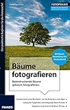  Foto Praxis Bäume fotografieren