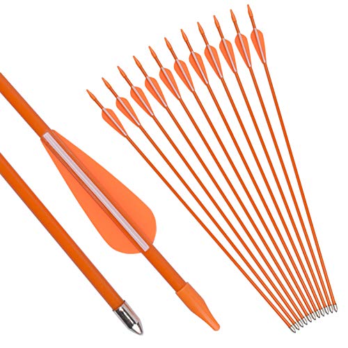 NIKA ARCHERY Fiberglass Arrows Youth Kids Practise Recurve Bows Compound Bow Shooting 12 pcs 28 inch Shafts by NIKA ARCHERY - Used condition - US$23.87