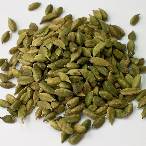 yƖpzJ_iz[jy500gz/XpCXEn[uEhE