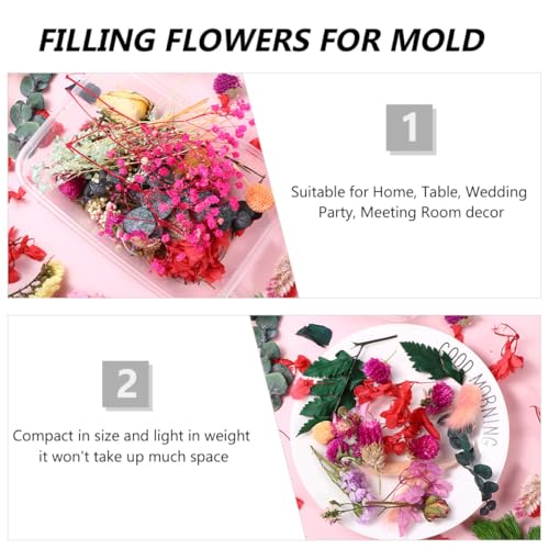Flores secas para manualidades 6 cajas set miniatura 7