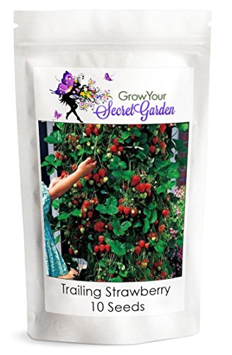 Grow your secret garden Trailing Strawberry Seeds - Runners up to 1 m, Delicious Crop!