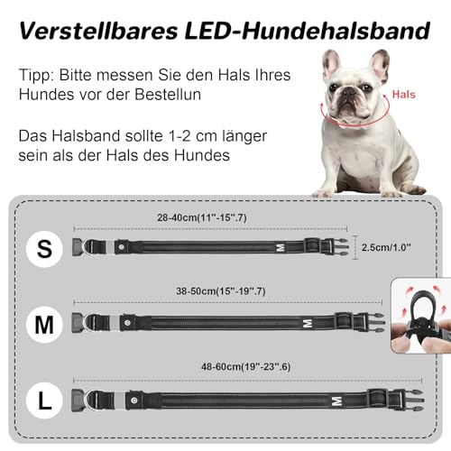 Feycig Leuchthalsband Hund Halsband Aufladbar - LED Hundehalsband Leuchtend USB Wasserdicht Einstellbare, 3 Modi, Leuchthalsband für Kleine Mittlere Große Hunde (Schwarz, M(38-50cm/15-19.7inch))
