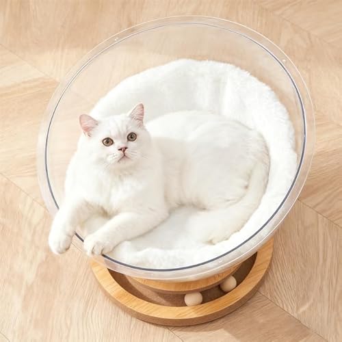 Lxbh ybgnbN FDe[} Lbgxbh ybgpQ CeAƋ Lp FDfUCLxbh t}bg gݗĊȒPȑ^LbgnEX ybgxe Lxbh{E^̔Ll֎q FD Lbg Q ̔LQ L