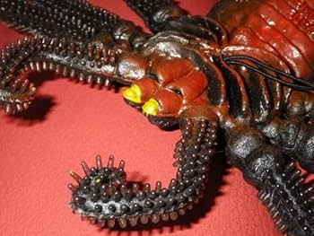 毒蜘蛛 毒グモ - Wikipedia