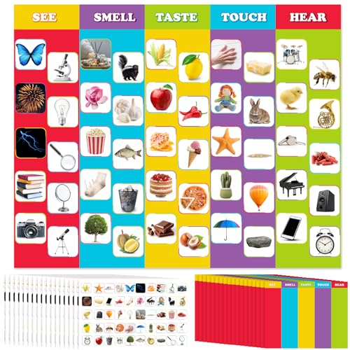 Humyoun 18�Z�b�g Five Fun Senses Make a Sticker Five Fun Senses �X�e�b�J�[ �V�[�� ���������̊��o����� �X�e�b�J�[ DIY 5�̊y�������o�Q�[�� �j�̎q ���̎q ���炨��ъw�K����
