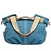 Eshow Women Canvas Shoulder Bag Hobo Handbags and Purse Cross-Body Bag Messenger Bag Travel mom bag for women