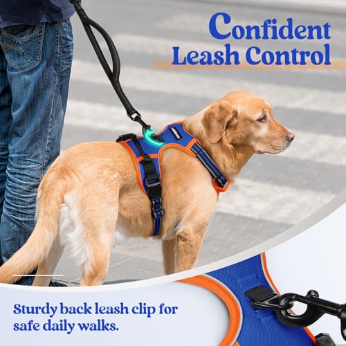 Image of rabbitgoo Dog Harness No Pull with 2 Leash Clips, Adjustable Soft Padded, Reflective Oxford No Choke Pet Vest with Easy Control Handle for Medium Sized Dogs, Blue & Orange, M