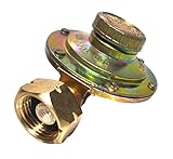 Industrial Gas Regulator for Home and Restaurant Use, Gold, Compatible with Household Pipes, Italian High Quality