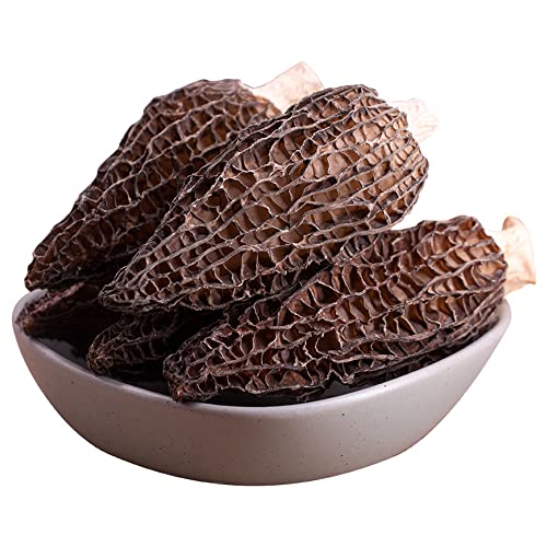 dried morel mushrooms