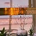 Branch Lights - Led Branches Battery Powered Decorative Lights Willow Twig Lighted Branch for Home Decoration Warm White - 20 Inches 20 LED Lights[2 Pack]