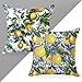 Secret Santa Gifts, 2 PCs Italy Lemon Throw Pillow Covers 18x18, Lemon Decor Italian Gifts Pillow Cases Decorative Pillow Protectors Living Room Bedroom Office Home Decor for Cushion Car Bed