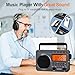 Portable Radio with Best Reception, 4000mAh Rechargeable Digital Radio AM FM Portable with SD Card/USB Playback, Digital Tunner, Big Speaker, LCD Screen(Grey)