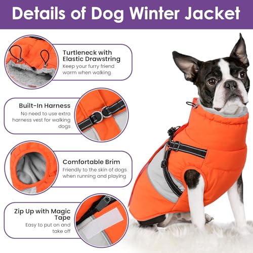 Image of Small Dog Coat with Harness Built in, Warm Dog Jacket Winter with Zipper On Back, Waterproof Pet Snow Jacket Snowsuit Pet Sweater Clothes for Schnauzer, Yorkshire Terrier, Orange S