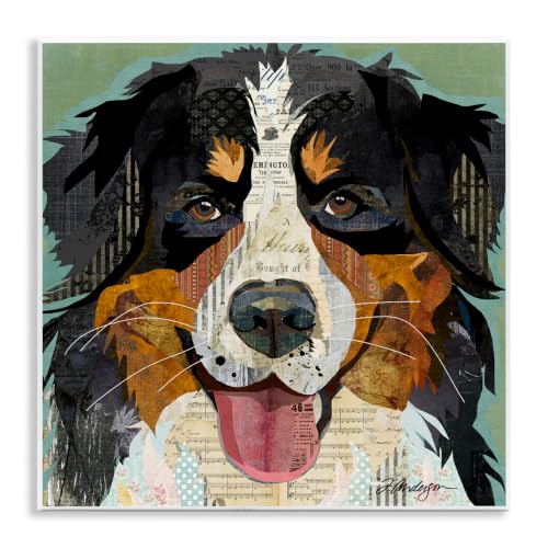 Bernese Mountain Dog Collage, 12 x 12 Inch Mounted Print on Wall Plaque
