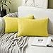 MIULEE poszewka na poduszkę, kwadratowa solidna poszewka na poduszkę na sofę, krzesło, kanapę, do sypialni, dekoracyjna poszewka, pasiasta tkanina sztruksowa, 30 x 50 cm, 2 szt., jasnożółta