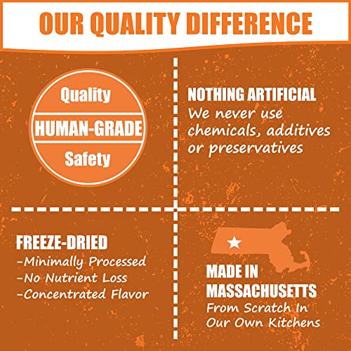 Whole Life Pet Human Grade Probiotic Dog Treats - Pumpkin & Yogurt – Easy Digestion, Firmer Stool, Sensitive Stomachs - Made In The Usa #TOP3