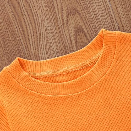 Image of Toddler Girl Clothes Summer Outfit Short Sleeve Shorts Set 12M-5T | Soft ribbed knit toddler girl outfit with breathable fabric, ruffle top, comfy shorts and stretchy fit for summer daily wear.