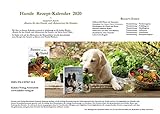 Hunde Rezept-Kalender 2020