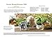 Hunde Rezept-Kalender 2020