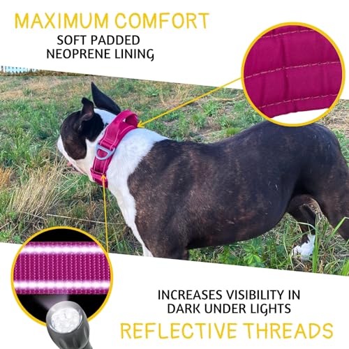 ADITYNA - Heavy Duty Dog Collar with Handle - Reflective Magenta Dog Collar for Large Dogs - Wide, Thick, and Soft Neoprene Padded Dog Collar for Training and Walking (Magenta, Large: Fit 18-23" Neck) - Thumbnail 4