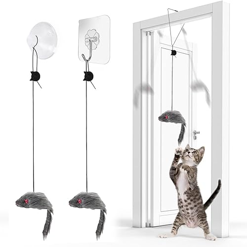 FYNIGO 2 Pcs Self Play Hanging Door Cat Mouse Toys