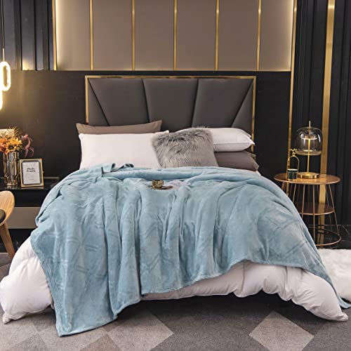 HT&PJ Fleece Throw Blanket Super Soft Lightweight Flannel Microfiber Velvet Cozy Warm Throw Blanket for Living Room (Sky Blue, (Throw50 X 60 ))
