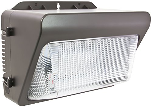 Salt Air Wall Pack Light
