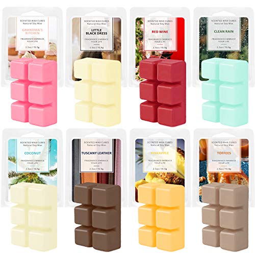 Best Wax For Scented Wax Melts 10Reviewz