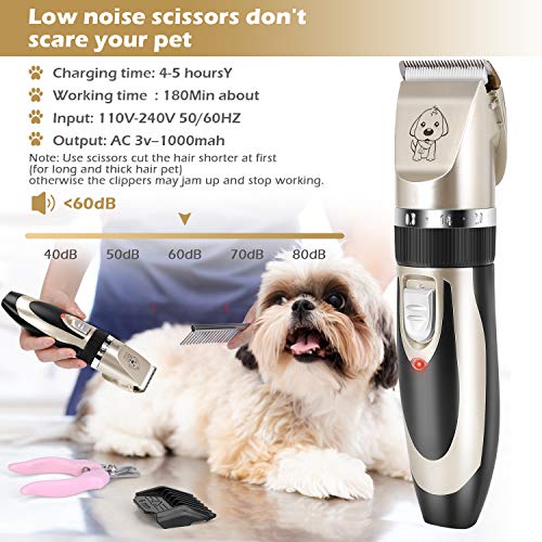 https://m.media-amazon.com/images/I/51vbREm5C2L._SL500_.jpg