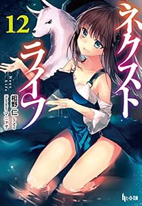ネクストライフ　１２ (ヒーロー文庫)