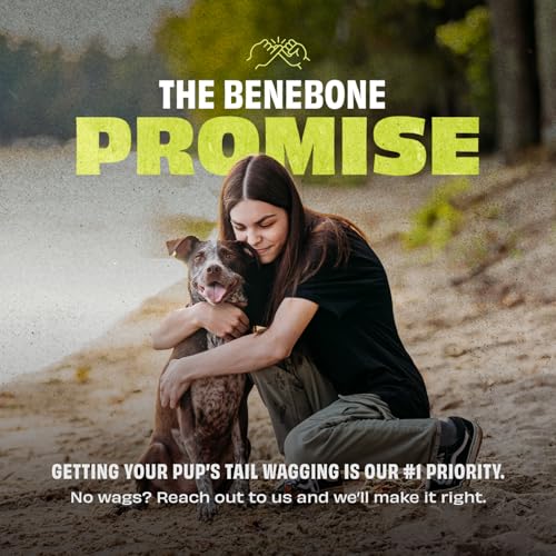 Benebone Natural Rubber Tug Interactive Dog Toy, Natural Rubber by Benebone - Image 7