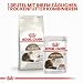 Royal Canin Senior AGEING 12+ | Doppelpack | 2 x 400 g | Alleinfuttermittel für Senior Katzen ab dem 12. Lebensjahr | Kann dazu beitragen die Harnwegsfunktion zu unterstützen