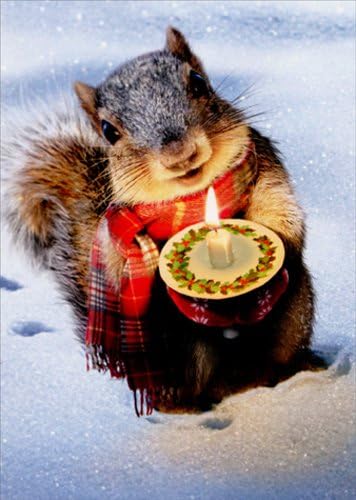 AVANTI Card Snowy Squirrel Holds Candle, 1 EA