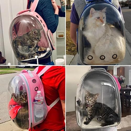 Mochila De Transporte Para Pets Cachorros E Gatos Com Ventilação Transparente E Visão Panorâmica Bol