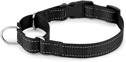 PLUTUS PET Reflective Martingale Collar with Quick Snap Buckle,No Pull Dog Choker Collar for Small Medium Large Dogs,M,Black