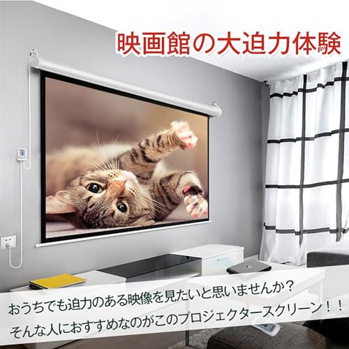 雑貨の国のアリス プロジェクタースクリーン 電動 吊り下げ式 大画面 ワイド ブラックマスク 映画 (100インチ) [並行輸入品]