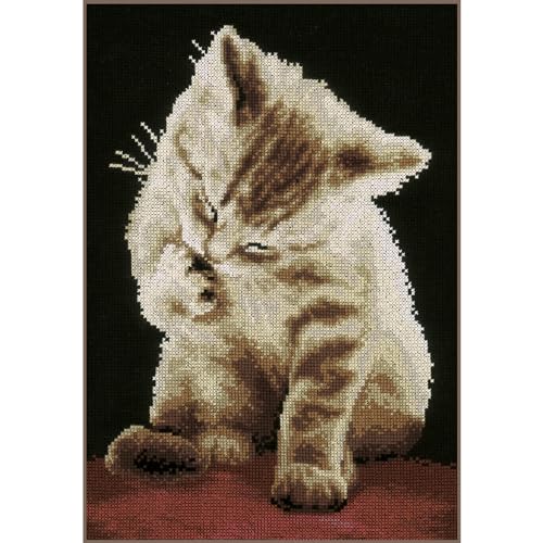 Kit Point de Croix Compté Chaton Broderie Vervaco 22x30 cm - 2