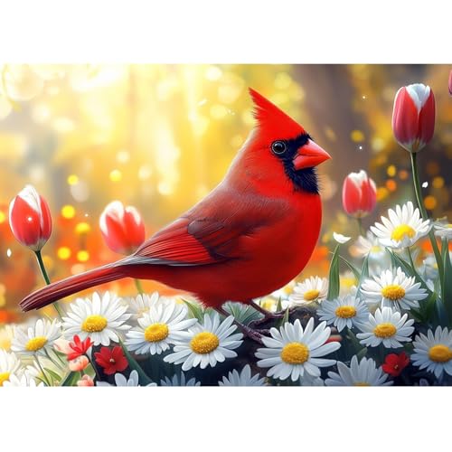 Kit d'art diamant 5D oiseau cardinal CEOVR 30x40 cm pour loisirs créatifs