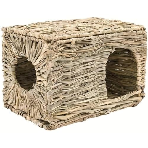 Vlfn ^`V[nEX VRq  bg `` p ~ ΍ Q  XgXU V Sf ȃXy[X ̂ ʋC h ۉ P[W ybgnEX (S,A)