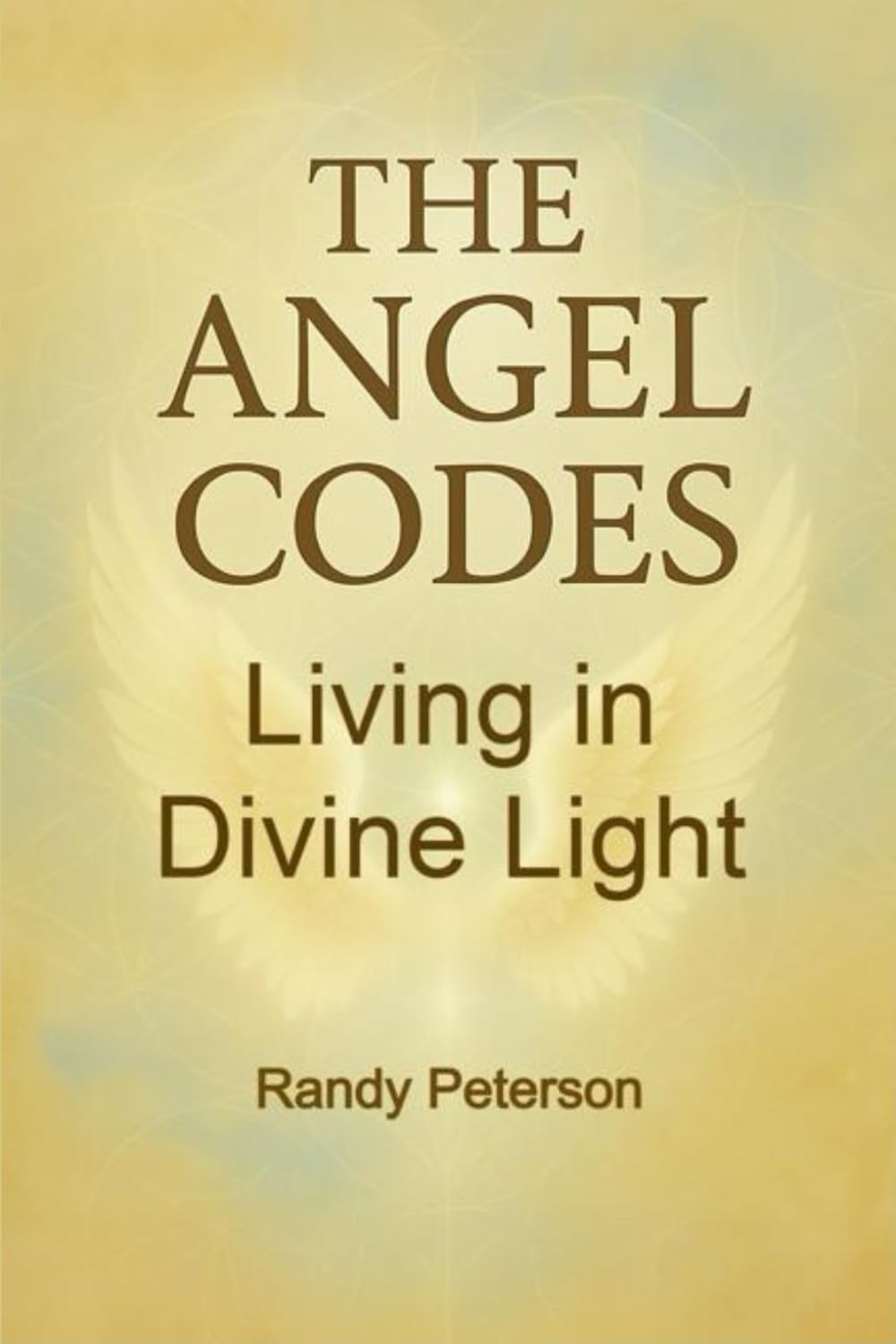 The Angel Codes: Divine Light With Angels and Higher Realm Connection