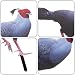 BESPORTBLE Yard Chicken Stake Dekorativer Garten-hühnerschild-Stake Acryl-Einsatz Für Modernes Outdoor-