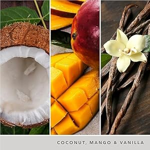 Yankee candle jar large coconut splash ysdcs  urban country home decor