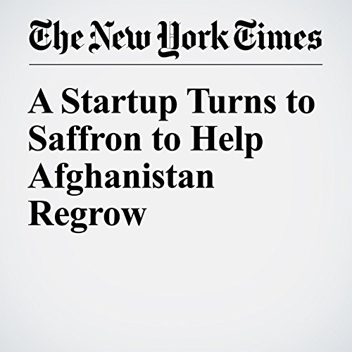 A Startup Turns to Saffron to Help Afghanistan Regrow cover art