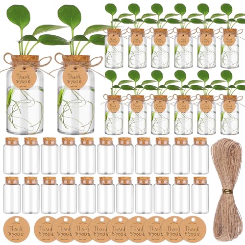HCEWSBFD 36 Packs Plant Propagation Stations with Hole Lid Clear Plastic Cultivation Bottles Tabletop Hydroponic Containers with Thank You Tags for Home Gardening Office Desktop Decoration