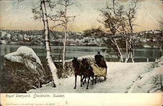 Royal Deerpark Stockholm, Sweden Original Antique Postcard