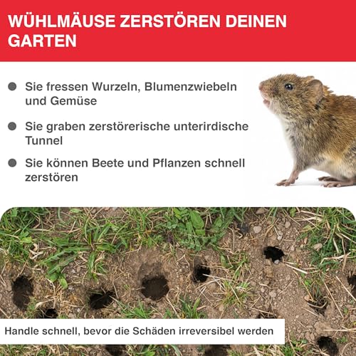 SWISSINNO Wühlmausfalle PRO SuperCat - Effiziente Schlagfalle gegen Feld- & Wühlmäuse, Patentierter Auslösemechansimus, Einfach einzurichten, Sicher & Wiederverwendbar - 1 Falle