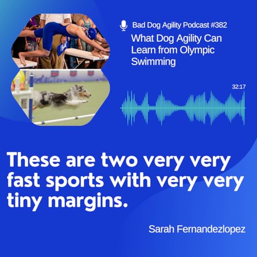 382: What Dog Agility Can Learn from Olympic Swimming