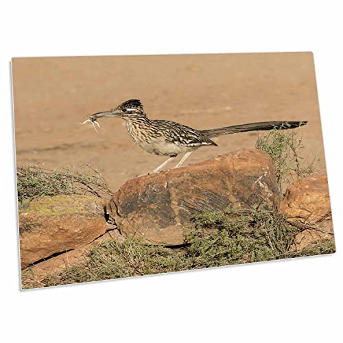 3dRose USA Arizona Amado Greater Roadrunner Lizard miniatura 1